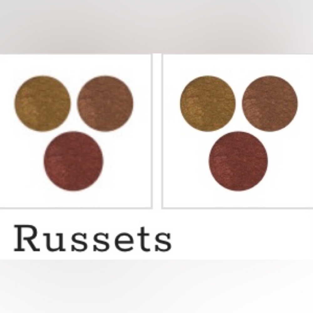 RUSSETS MINERAL GEM TRIO 3 BEAUTIFUL SHADES OF LOOSE EYESHADOW FROM MUA COUNTER
